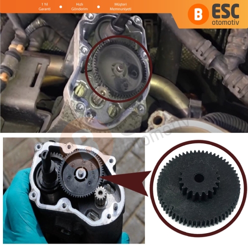 VW Seat Skoda 2.0 FSI Suzuki 1.9 DDIS Renault 1.9 DCI Motor İçin EGR Valf Dişlisi